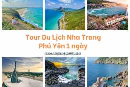 Tour Du Lịch Nha Trang Phú Yên 1 Ngày Giá Cực Ưu Đãi